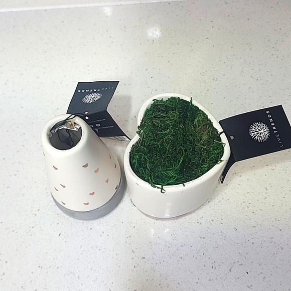 2 Ceramic & Cement Planters with tags. - Picture 2 of 8